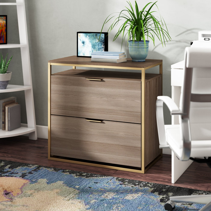 Wrought Studio Haight 30.31'' Wide 2 Drawer Lateral Filing